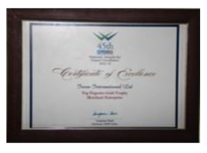 45th National Awards for Export Excellence for 2012­-13 by EEPC India